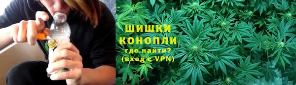 тгк Нея